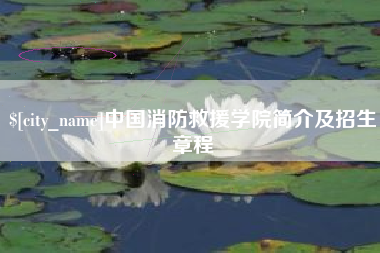 深圳中国消防救援学院简介及招生章程
