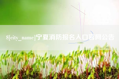 深圳宁夏消防报名入口官网公告