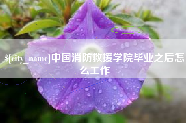 深圳中国消防救援学院毕业之后怎么工作