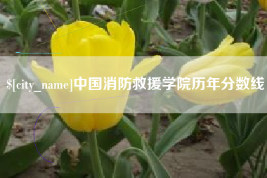 深圳中国消防救援学院历年分数线