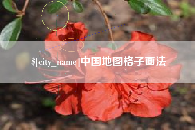 深圳中国地图格子画法
