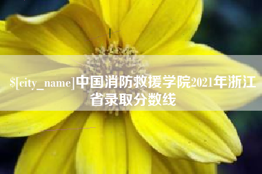 深圳中国消防救援学院2021年浙江省录取分数线