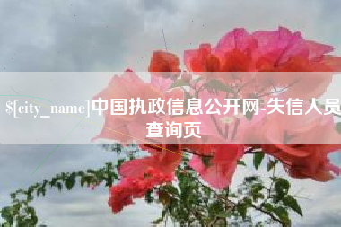 深圳中国执政信息公开网-失信人员查询页