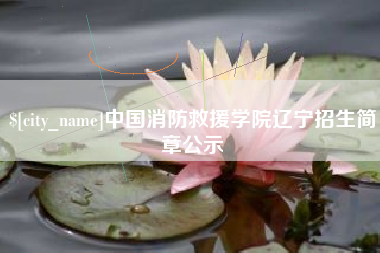 深圳中国消防救援学院辽宁招生简章公示