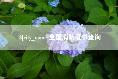 深圳全国消防证书查询