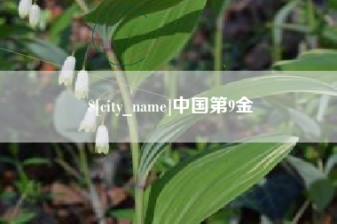 深圳中国第9金