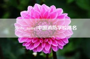 深圳中国消防学校排名