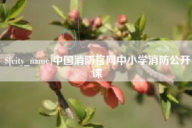 深圳中国消防官网中小学消防公开课