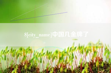 深圳中国几金牌了