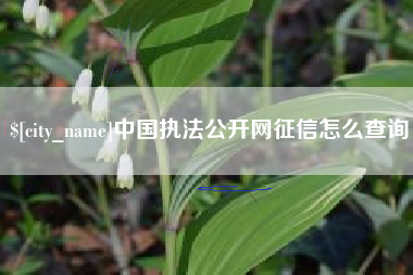 深圳中国执法公开网征信怎么查询
