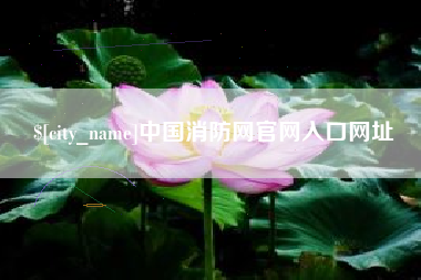 深圳中国消防网官网入口网址
