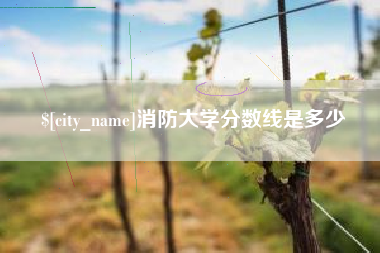 深圳消防大学分数线是多少