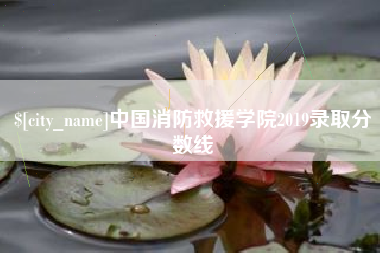 深圳中国消防救援学院2019录取分数线