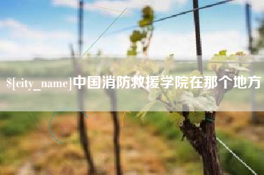深圳中国消防救援学院在那个地方