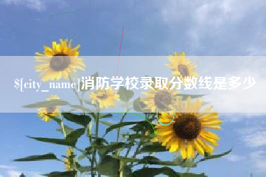 深圳消防学校录取分数线是多少