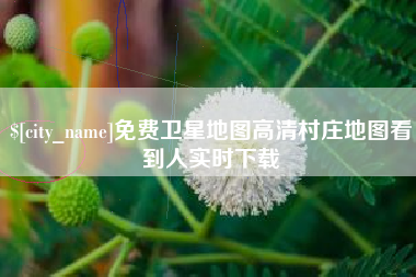 深圳免费卫星地图高清村庄地图看到人实时下载