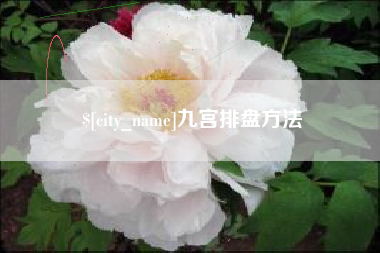 深圳九宫排盘方法