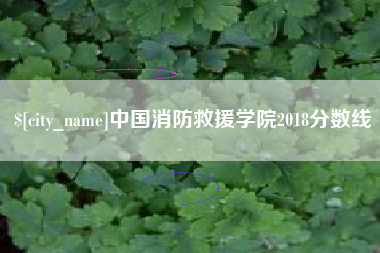 深圳中国消防救援学院2018分数线