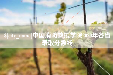 深圳中国消防救援学院2020年各省录取分数线