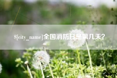 深圳全国消防日是第几天？