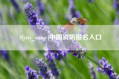 深圳中国消防报名入口