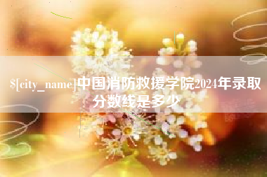 深圳中国消防救援学院2024年录取分数线是多少