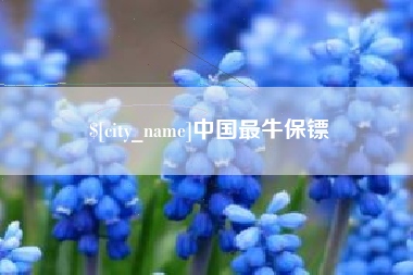 深圳中国最牛保镖