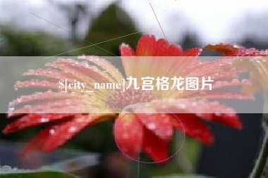 深圳九宫格龙图片