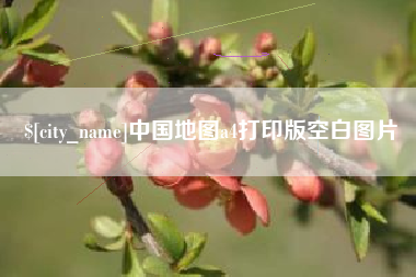 深圳中国地图a4打印版空白图片