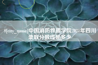 深圳中国消防救援学院2021年四川录取分数线是多少