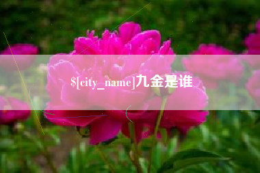 深圳九金是谁