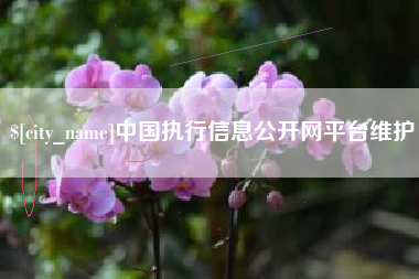 深圳中国执行信息公开网平台维护