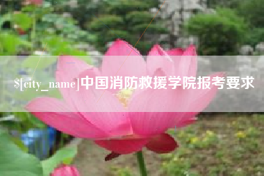 深圳中国消防救援学院报考要求