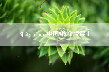 深圳中国9枚金牌得主
