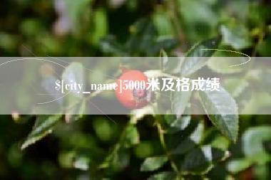 深圳5000米及格成绩