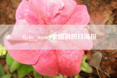 深圳全国消防日海报