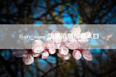 深圳国家消防报名入口