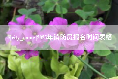 深圳2025年消防员报名时间表格