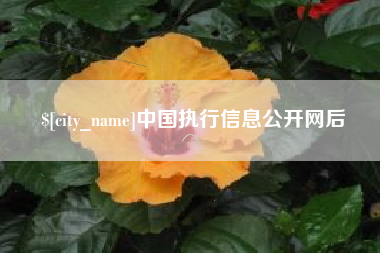 深圳中国执行信息公开网后