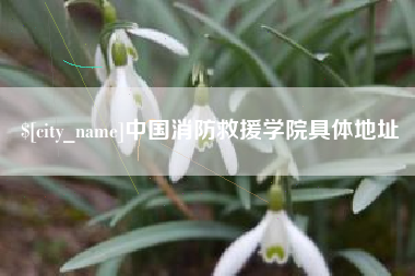 深圳中国消防救援学院具体地址