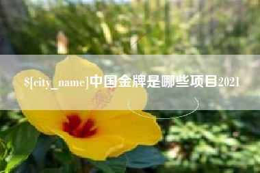 深圳中国金牌是哪些项目2021