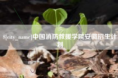 深圳中国消防救援学院安徽招生计划