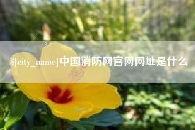 深圳中国消防网官网网址是什么