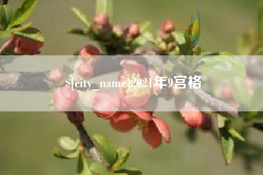 深圳2021年9宫格