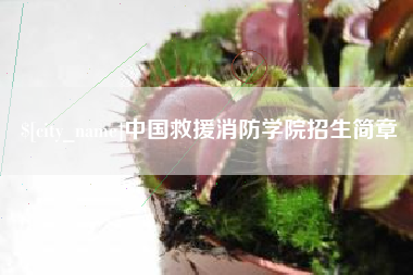 深圳中国救援消防学院招生简章