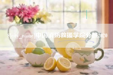 深圳中国消防救援学院分数2020
