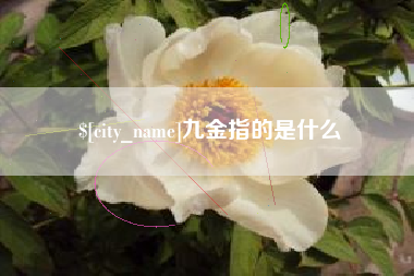 深圳九金指的是什么