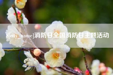 深圳消防日全国消防日主题活动