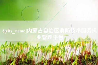 深圳内蒙古自治区消防技术服务执业管理平台