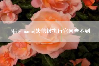 深圳失信被执行官网查不到